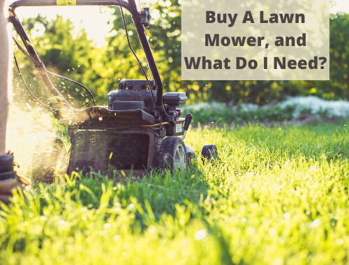 Are you wondering when is the best time to buy a lawn mower? You'll find the answers here as well as some advice to figure out what kind to buy.