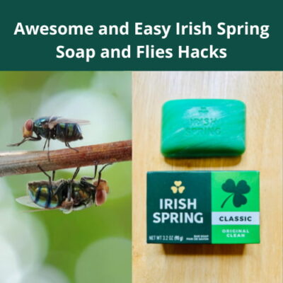 Do you want to know if the Irish Spring soap and flies work? I have several hacks that get rid of flies, pests, and more!
