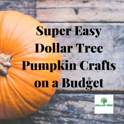 Are you looking for Dollar Tree Pumpkin Crafts? I have made several that are super easy to make and can be created on a budget.