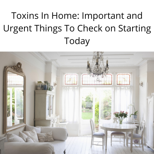 Are you worried about your toxins in home?  Here are some important and urgent things to check on starting today.