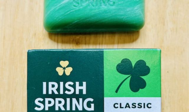 cropped-Irish-Spring-Soap-and-Flies-1.jpg