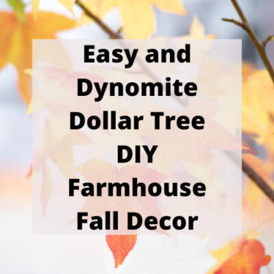 Are you looking for DIY Farmhouse Fall Decor? I made this super easy DIY with just a few items from the Dollar Tree.