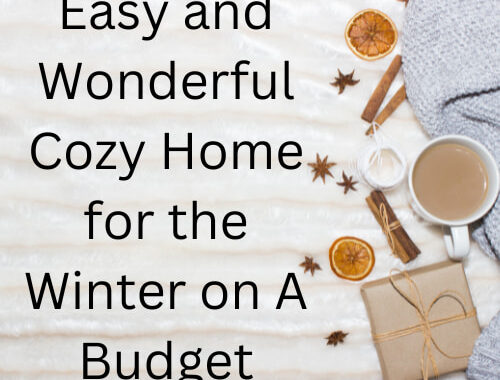 Are you ready to create a cozy home for winter? Here are a few tips on how you can create a warm and inviting space on a budget.