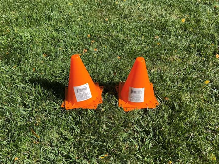 I picked up two sets of cones from the dollar store