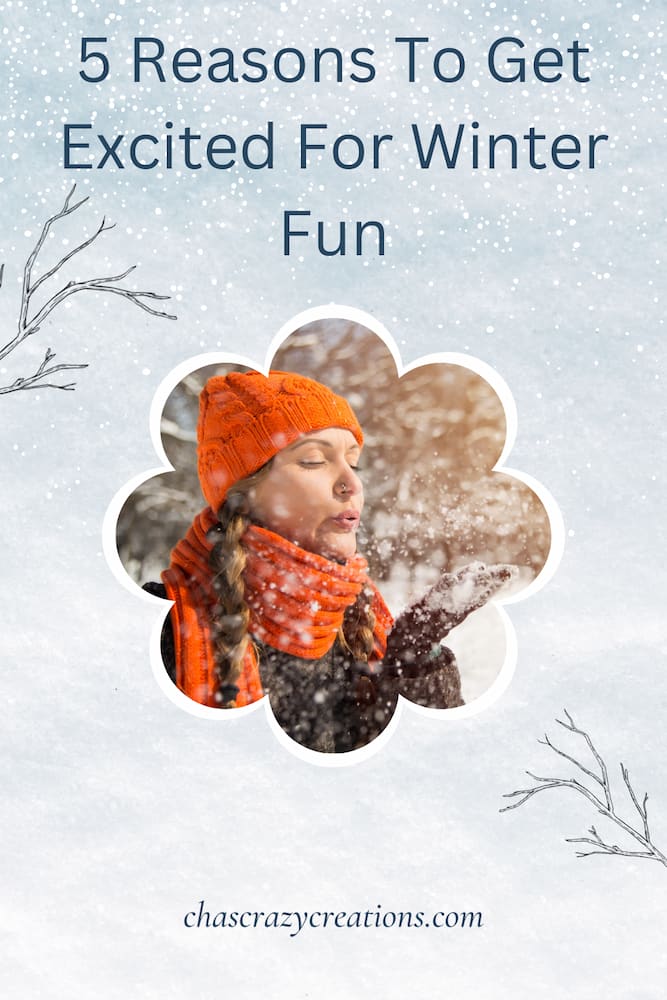 Are you looking for some winter fun?  Here is a list of five things that will cause you to forget all about your stress and enjoy the season!