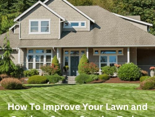 Are you wondering how to improve your lawn and outdoor space? Here are several tips for you that you can start today.