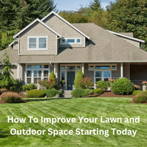 How To Improve Your Lawn and Outdoor Space Starting Today