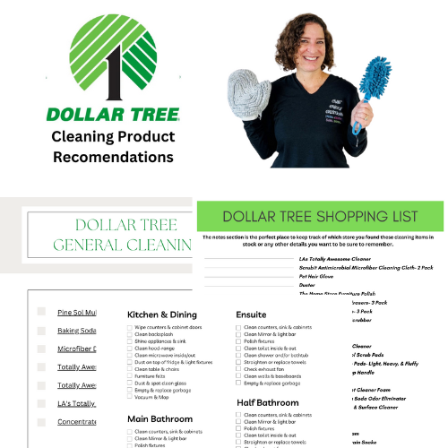 dollar tree cleaning product recommendations