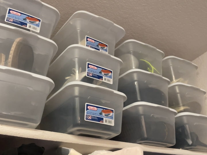 I use Dollar Store bins in my closet to help with additional storage I also use them to help with my shoes.