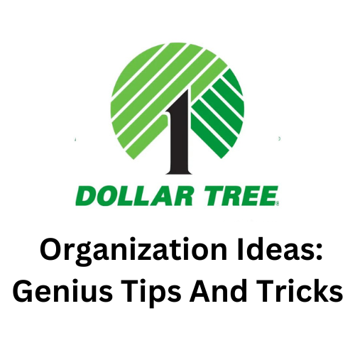 Dollar Tree Organization Ideas: Genius Tips And Tricks