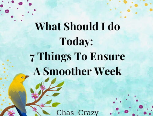 Are you overwhelmed, drawing a blank, and wondering what should I do today? Here are a few things you can do to ensure a smoother week.