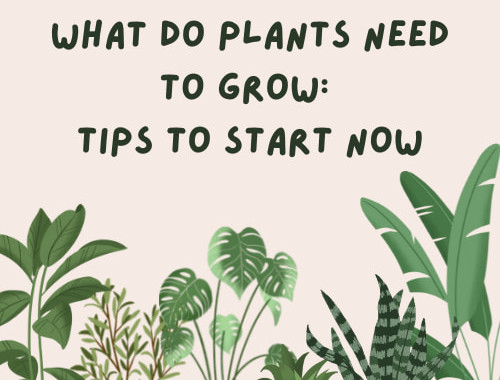 What Do Plants Need To Grow: Tips To Start Now