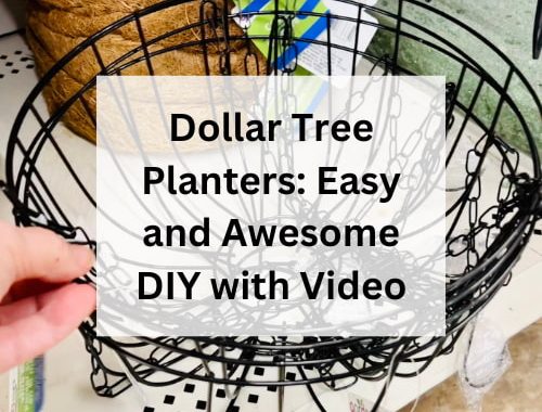 Dollar Tree Planters: Easy and Awesome DIY with Video