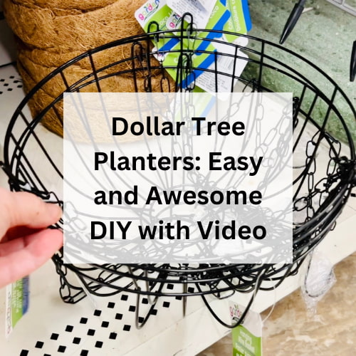 Dollar Tree Planters: Easy and Awesome DIY with Video