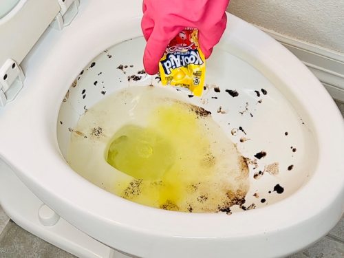 Easy And Weird Toilet Cleaning Hacks That Work - Chas' Crazy Creations