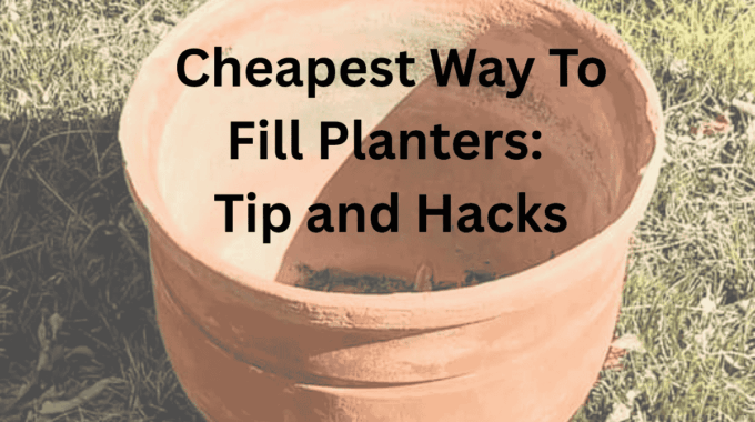 Are you looking for the cheapest way to fill planters? Need to fill a large planter fast? Are you tired of spending a fortune on dirt and other fillers for your planters? Well, we have good news for you! You don't have to break the bank to fill your planters. In fact, there are many inexpensive and creative ways to fill up the bottom of a large planter while still providing the necessary nutrients and drainage for your plants.