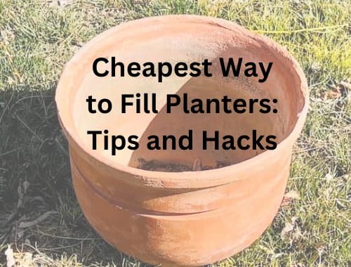 Cheapest Way to Fill Planters: Tips and Hacks