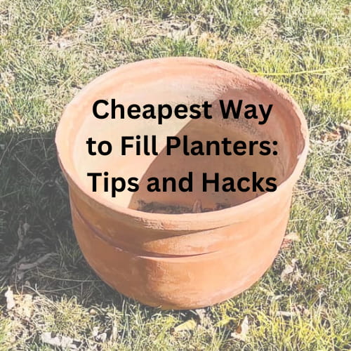 Cheapest Way to Fill Planters: Tips and Hacks