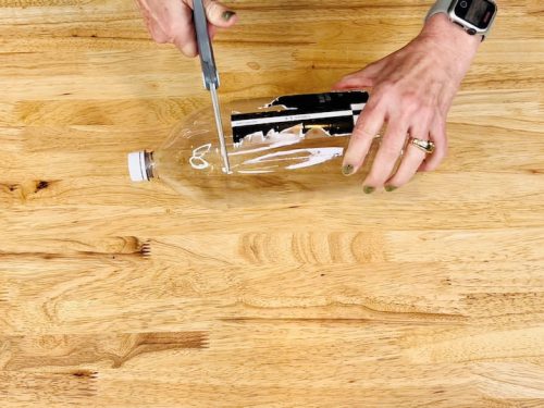 DIY Pest Control: Effective & Chemical-Free Solutions - Chas' Crazy