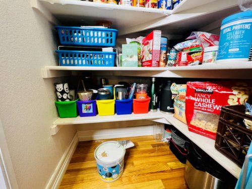 DIY Pest Control: Effective & Chemical-Free Solutions - Chas' Crazy