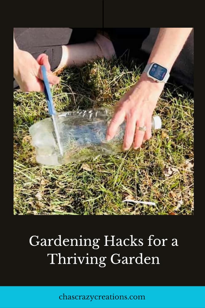 Are you ready to take your gardening skills to the next level? Here are several gardening hacks that will help you create thriving garden.