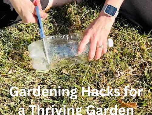 Gardening Hacks for a Thriving Garden