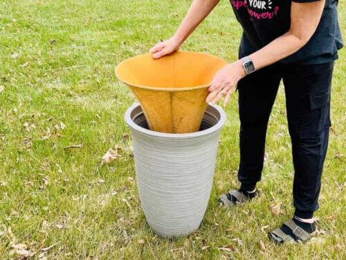 Cheapest Way to Fill Planters: Tips and Hacks - Chas' Crazy Creations