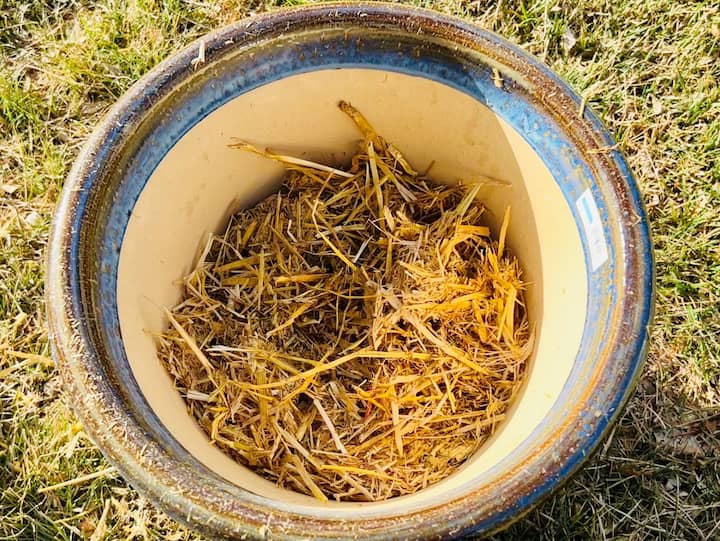 Fillers for Large Flower Pots - Straw or Hay