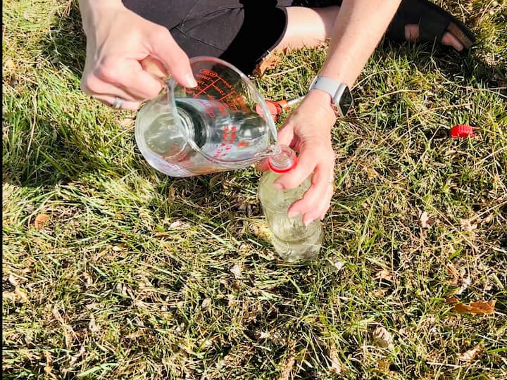 When starting seeds, here are a couple of creative hacks to try. First, remove the label from a small bottle, add water, and poke holes in the cap. This recycled water bottle can be used to water your plants.