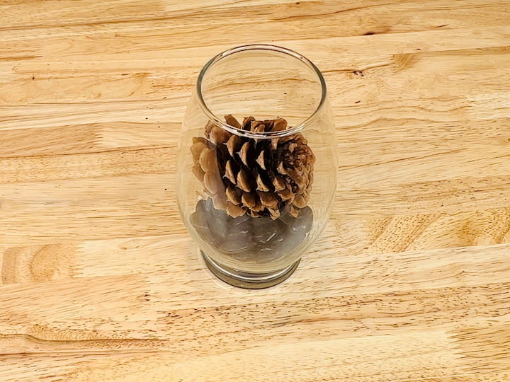 Find a second vase and fill it with Dollar Store rocks. Arrange pine cones on top of the rocks. You can easily find pine cones in your own backyard or at the Dollar Tree.