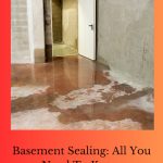 Are you wondering about basement sealing? Beneath the surface of our homes lies a hidden realm that demands attention and protection.