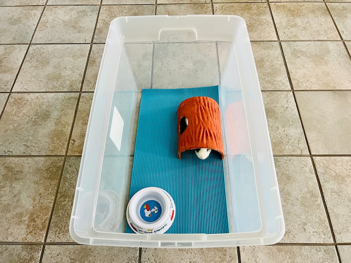 Use a large section of your old yoga mat as a splat mat for pets or kids under high chairs. It can also be placed inside a bin to provide a cushioned surface for small pets.