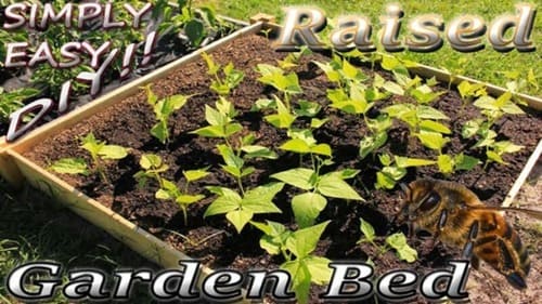 Raised Garden Bed with Cheap Furring Strips