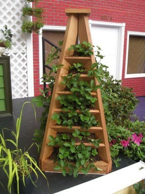 Strawberry Pyramid Planter
