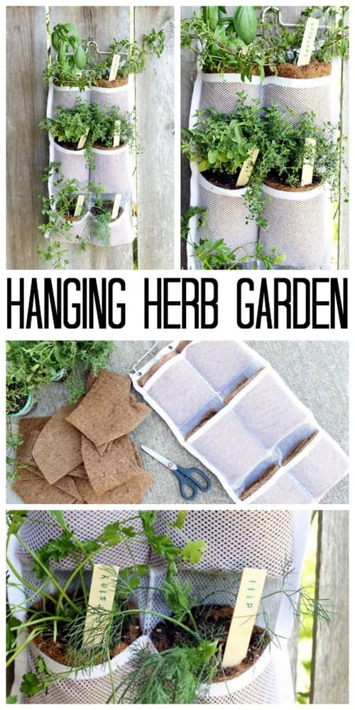 Hanging Herb Garden DIY Guide and Benefits
