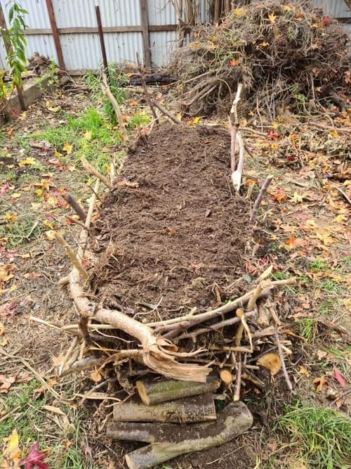 Woven Raised Garden Beds With Pruned Branches