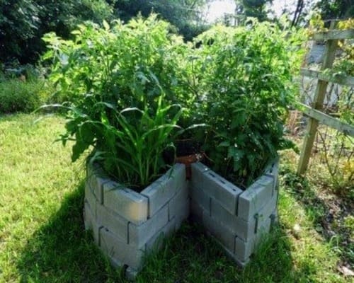 Permaculture Keyhole Garden Beds