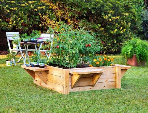 How to Build a Raised Bed with Benches