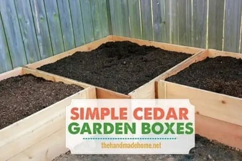 How to Build a Garden Box – A Simple Tutorial