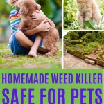 Say goodbye to harmful chemicals and create a pet-safe outdoor space with an effective homemade weed killer safe for pets.