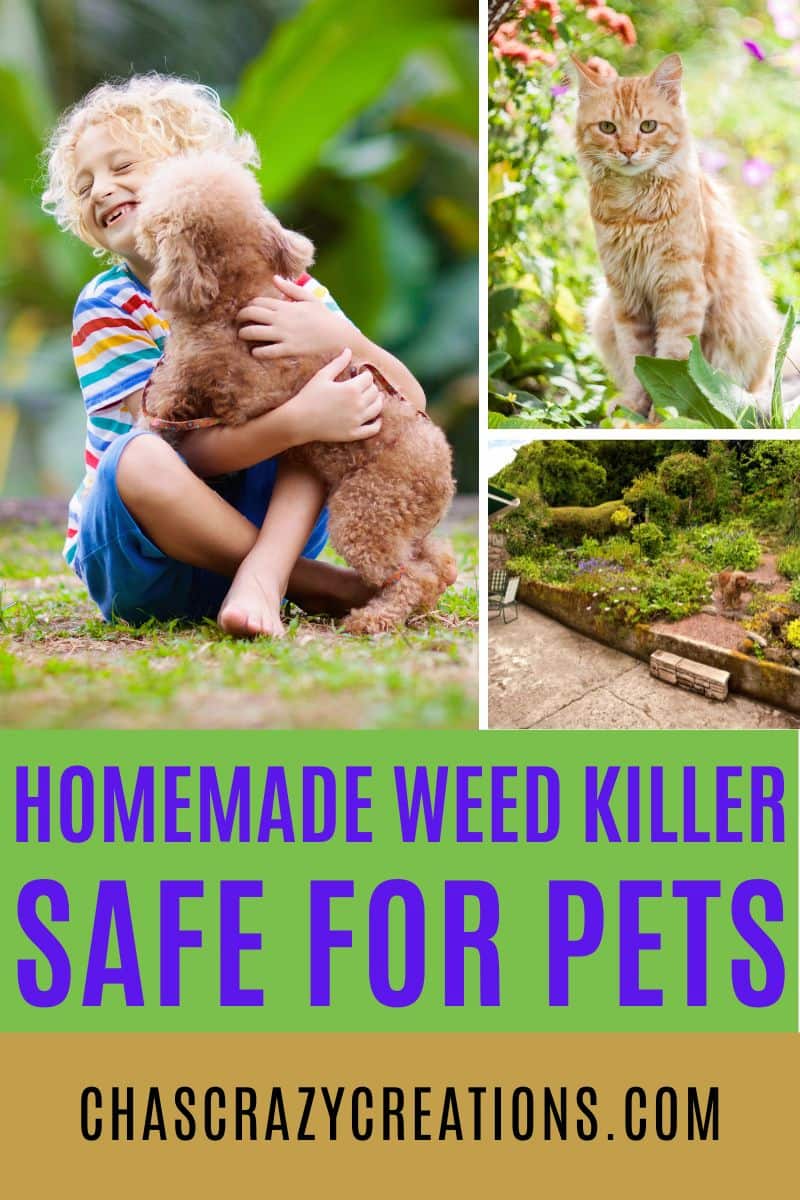 Say goodbye to harmful chemicals and create a pet-safe outdoor space with an effective homemade weed killer safe for pets.
