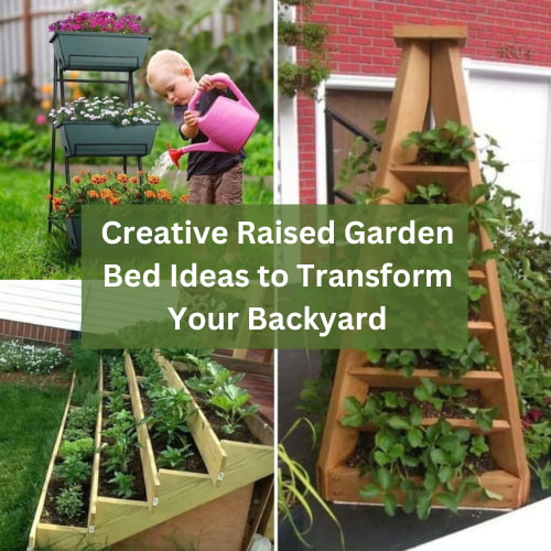 Creative Raised Garden Bed Ideas to Transform Your Backyard