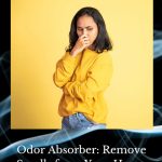 Are you looking for an odor absorber? It's pretty easy to remove smells from your home by keeping the air fresh for your nose and dusting.