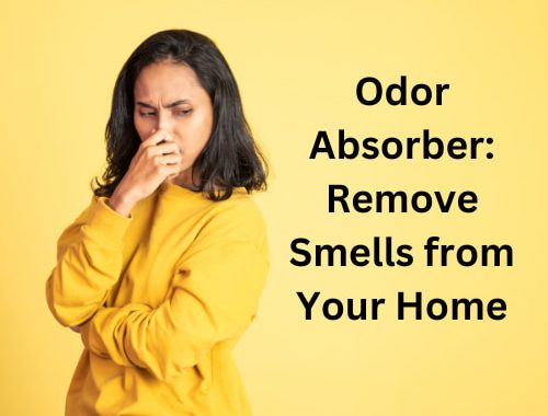 Odor Absorber: Remove Smells from Your Home