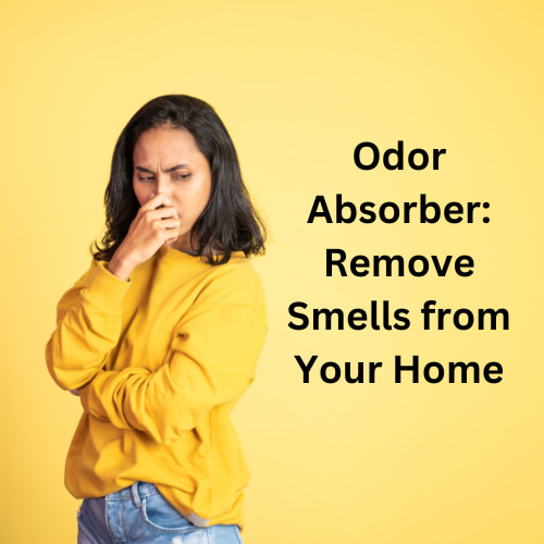 Odor Absorber: Remove Smells from Your Home