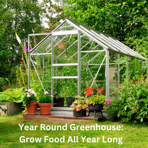 Year Round Greenhouse:  There’s a common misconception that you can only grow food in your garden during the warm sunny months