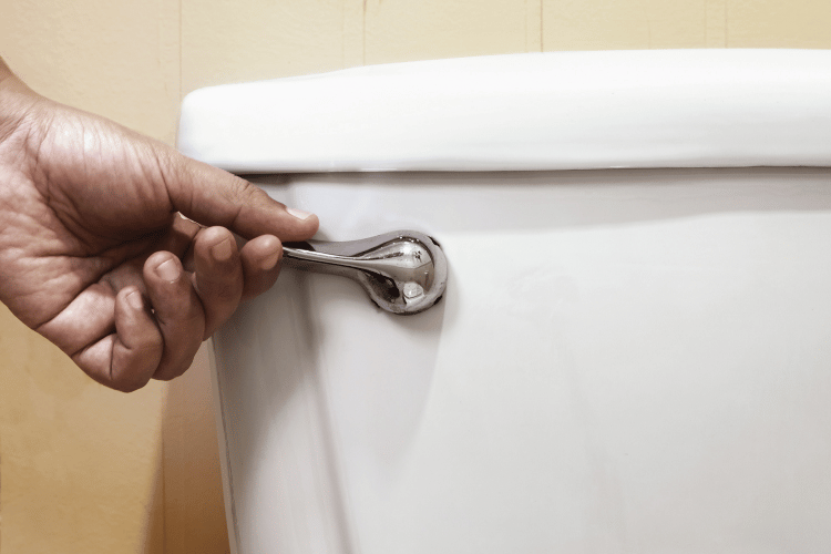 Accidentally Flushed Toilet When Water Was Off – What Now?