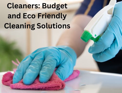 DIY All Purpose Cleaners: Budget and Eco Friendly Cleaning Solutions