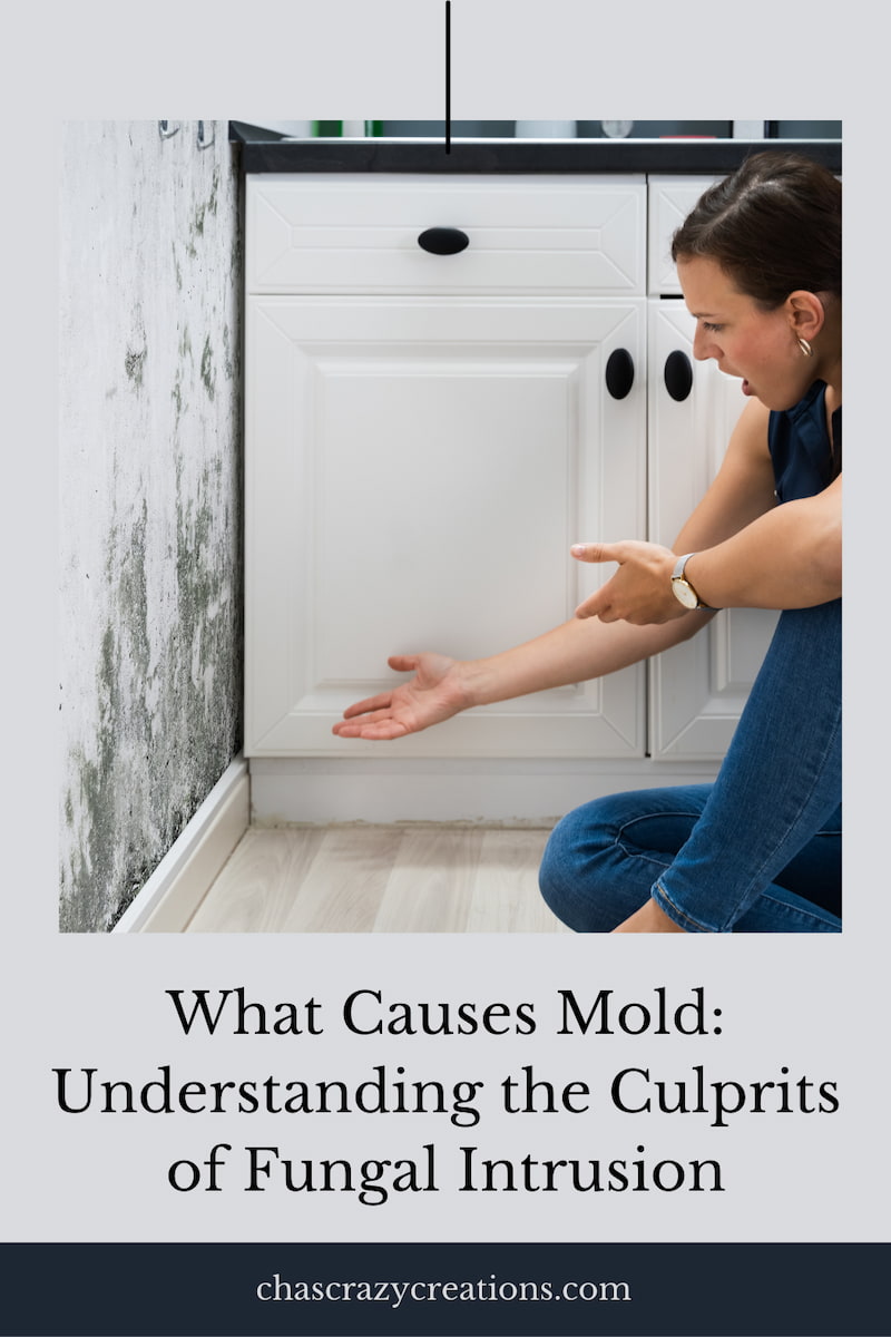What Causes Mold: Understanding the Culprits of Fungal Intrusion