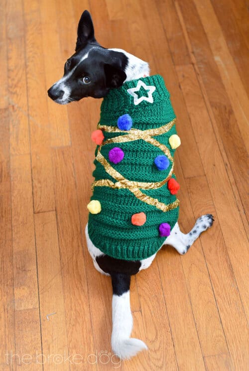 DIY Christmas Tree Sweater For Your Dog